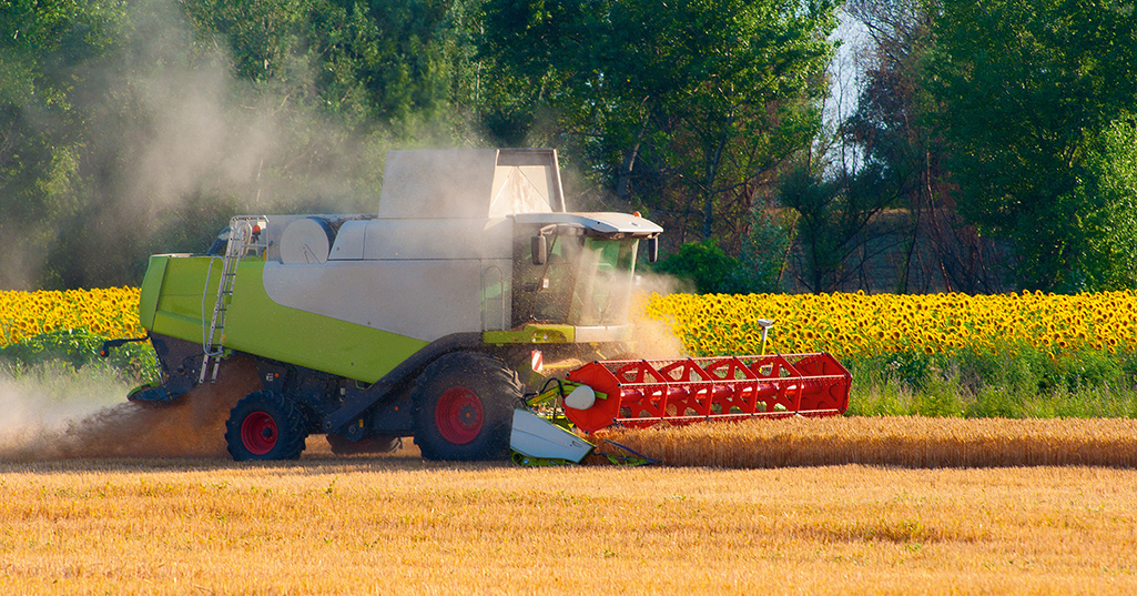 Landwirtschaft